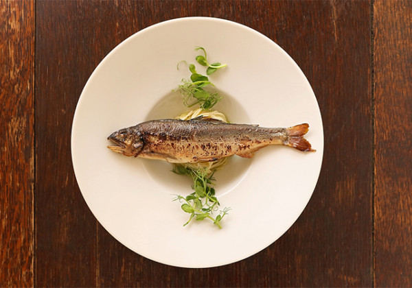 魚介料理専門ビストロ『ビストロ シロ.』夏のおすすめコース