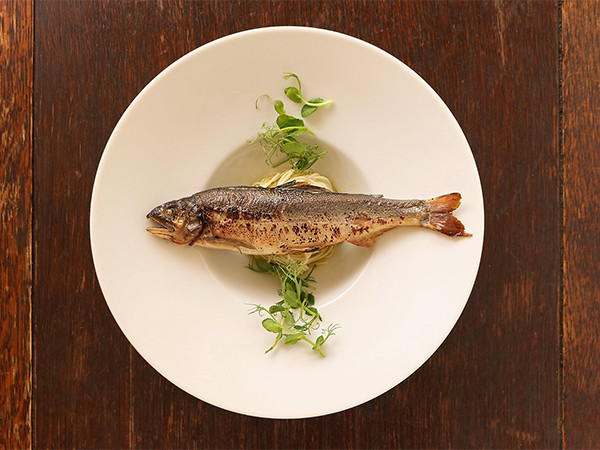 魚介料理専門ビストロ『ビストロ シロ.』夏のおすすめコース