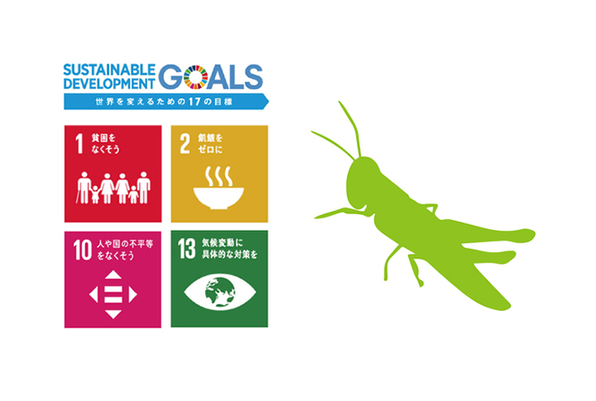 SDGsと昆虫食